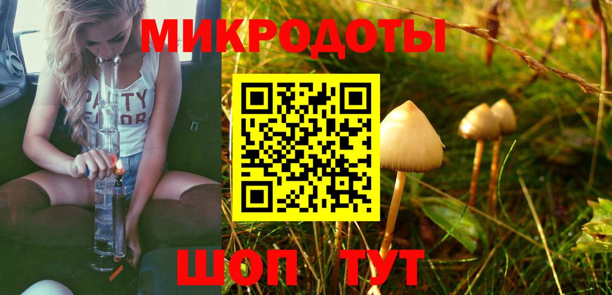 Псилоцибиновые грибы Magic Shrooms Зерноград